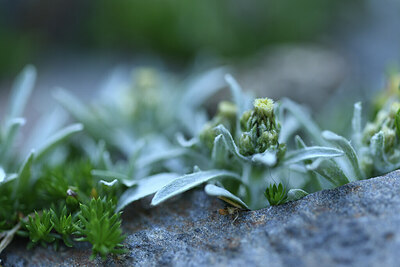 BUITEN BEELD Foto: 426661