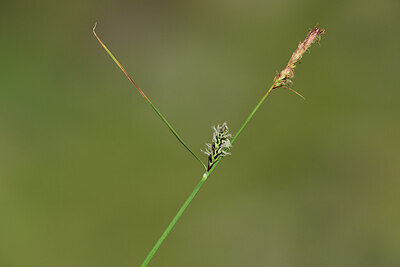 BUITEN BEELD Foto: 426688