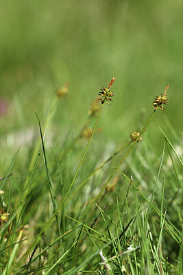 BUITEN BEELD Foto: 426698