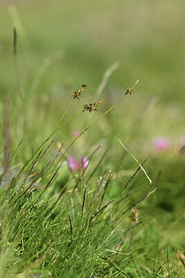 BUITEN BEELD Foto: 426699