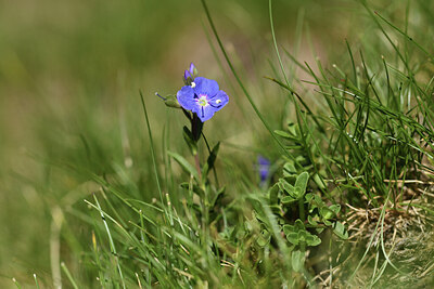 BUITEN BEELD Foto: 426715