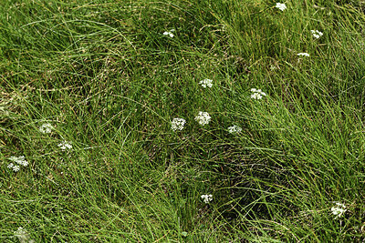 BUITEN BEELD Foto: 426721