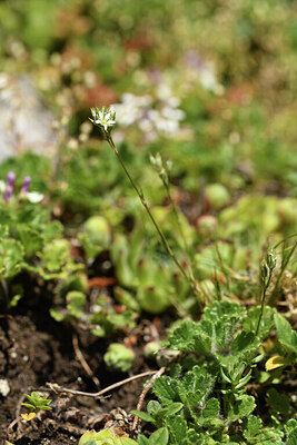 BUITEN BEELD Foto: 426728