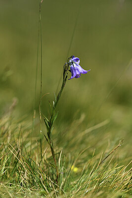 BUITEN BEELD Foto: 426733