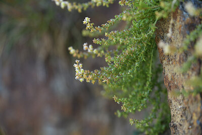 BUITEN BEELD Foto: 426749