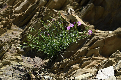BUITEN BEELD Foto: 426754