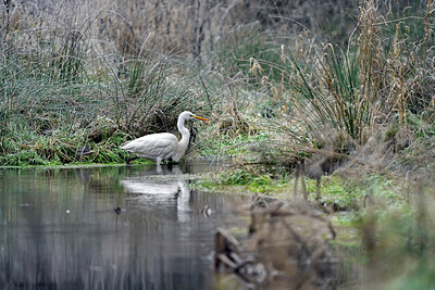 BUITEN BEELD Foto: 426756