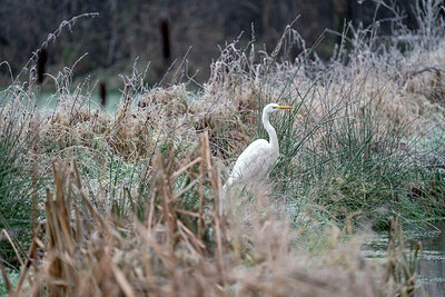 BUITEN BEELD Foto: 426757