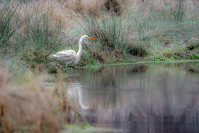 BUITEN BEELD Foto: 426758