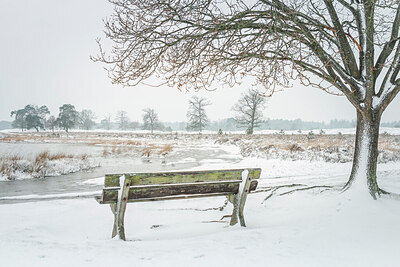 BUITEN BEELD Foto: 426790