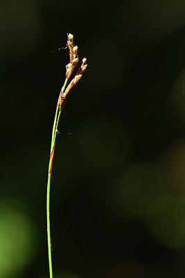 BUITEN BEELD Foto: 426815