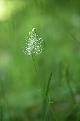 BUITEN BEELD Foto: 426828