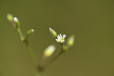 BUITEN BEELD Foto: 426871