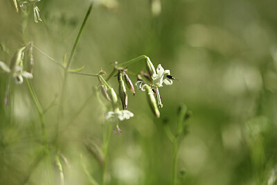 BUITEN BEELD Foto: 426952