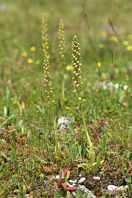 BUITEN BEELD Foto: 426969