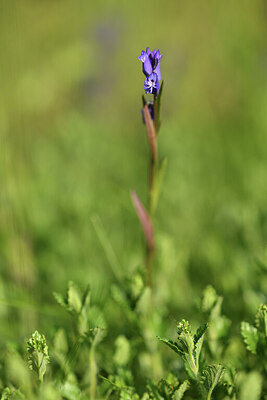 BUITEN BEELD Foto: 426981