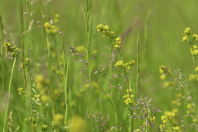 BUITEN BEELD Foto: 427014