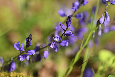 BUITEN BEELD Foto: 427078