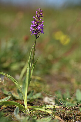 BUITEN BEELD Foto: 427092