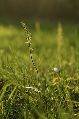 BUITEN BEELD Foto: 427141