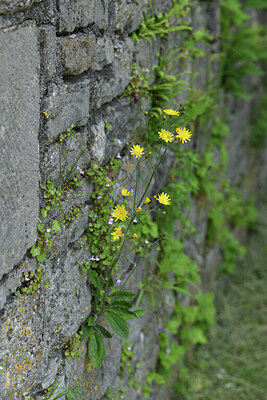 BUITEN BEELD Foto: 427210