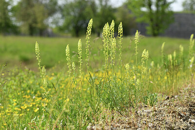 BUITEN BEELD Foto: 427220