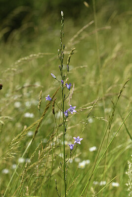 BUITEN BEELD Foto: 427392