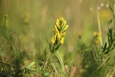 BUITEN BEELD Foto: 427411