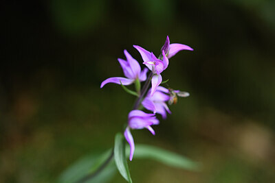 BUITEN BEELD Foto: 427433