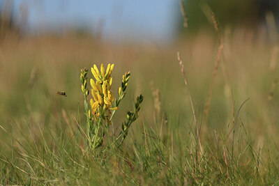 BUITEN BEELD Foto: 427434