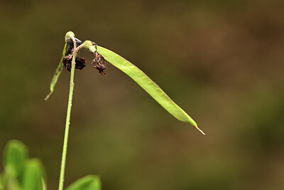 BUITEN BEELD Foto: 427445