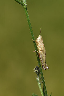 BUITEN BEELD Foto: 427483