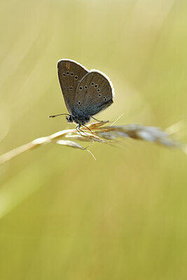 BUITEN BEELD Foto: 427487