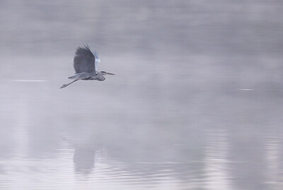 BUITEN BEELD Foto: 427583