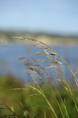 BUITEN BEELD Foto: 427616