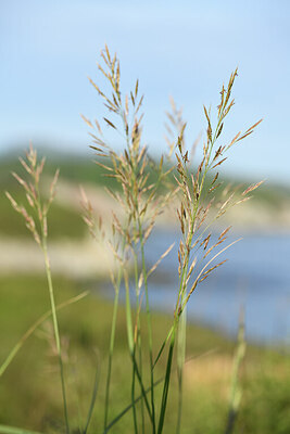 BUITEN BEELD Foto: 427627