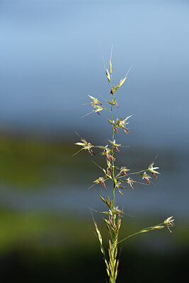 BUITEN BEELD Foto: 427646