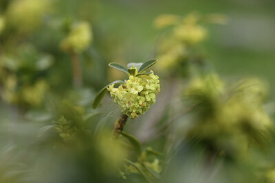 BUITEN BEELD Foto: 427653