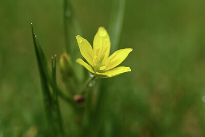 BUITEN BEELD Foto: 427655
