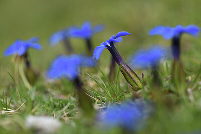 BUITEN BEELD Foto: 427659