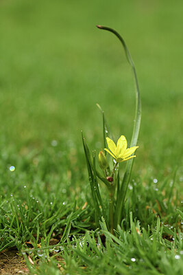 BUITEN BEELD Foto: 427665