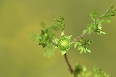 BUITEN BEELD Foto: 427705