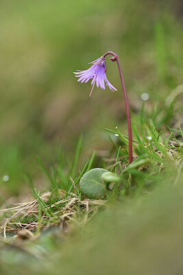 BUITEN BEELD Foto: 427707