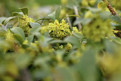 BUITEN BEELD Foto: 427723