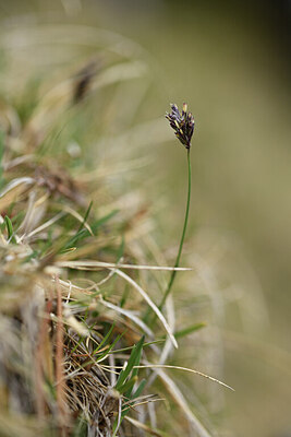 BUITEN BEELD Foto: 427750