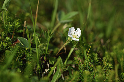 BUITEN BEELD Foto: 427753