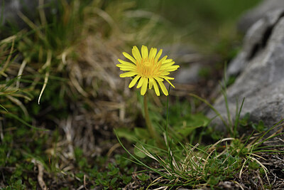 BUITEN BEELD Foto: 427755