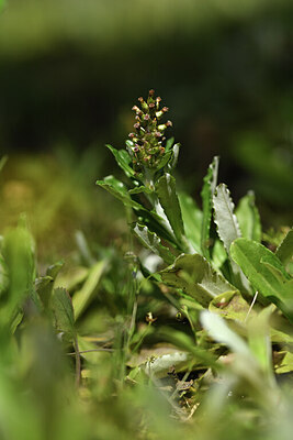 BUITEN BEELD Foto: 427759