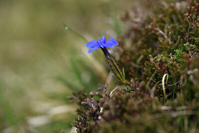 BUITEN BEELD Foto: 427771