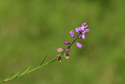 BUITEN BEELD Foto: 427780